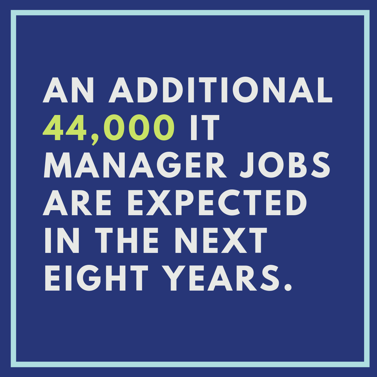 An additional 44,000 IT manager jobs are expected in the next eight years.