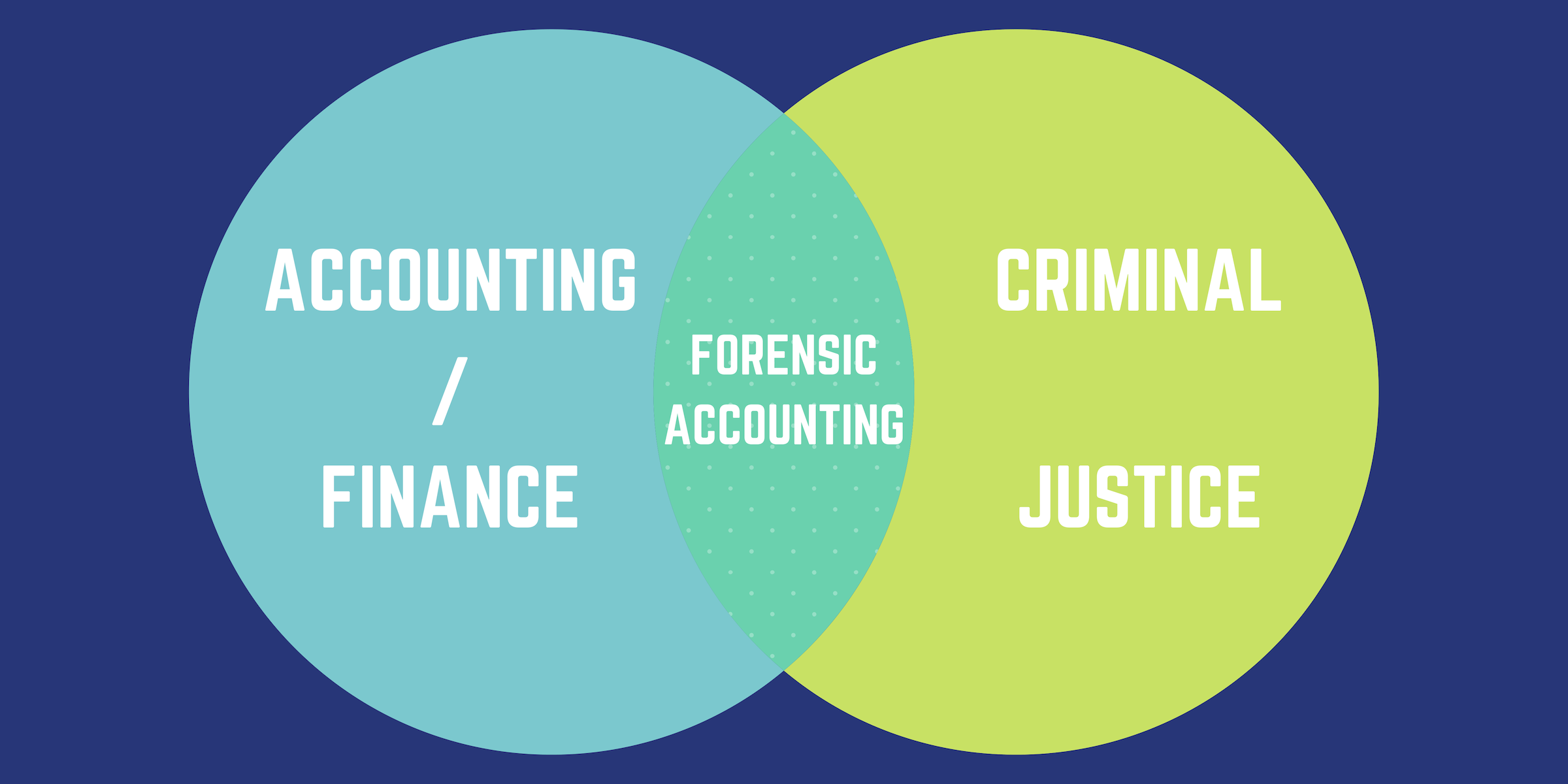Accounting / finance - forensic accounting - criminal justice