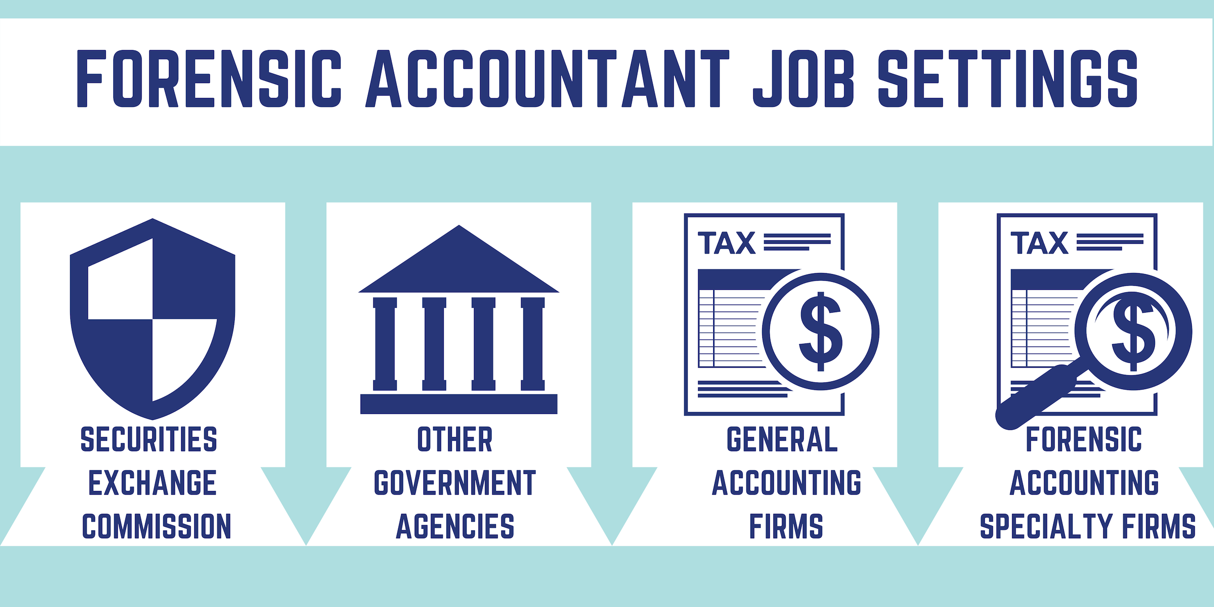 Forensic accountant job settings