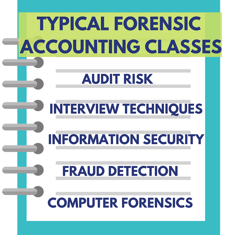 Typical forensic accounting classes: audit risk, interview techniques, information security, fraud detection, computer forensics.