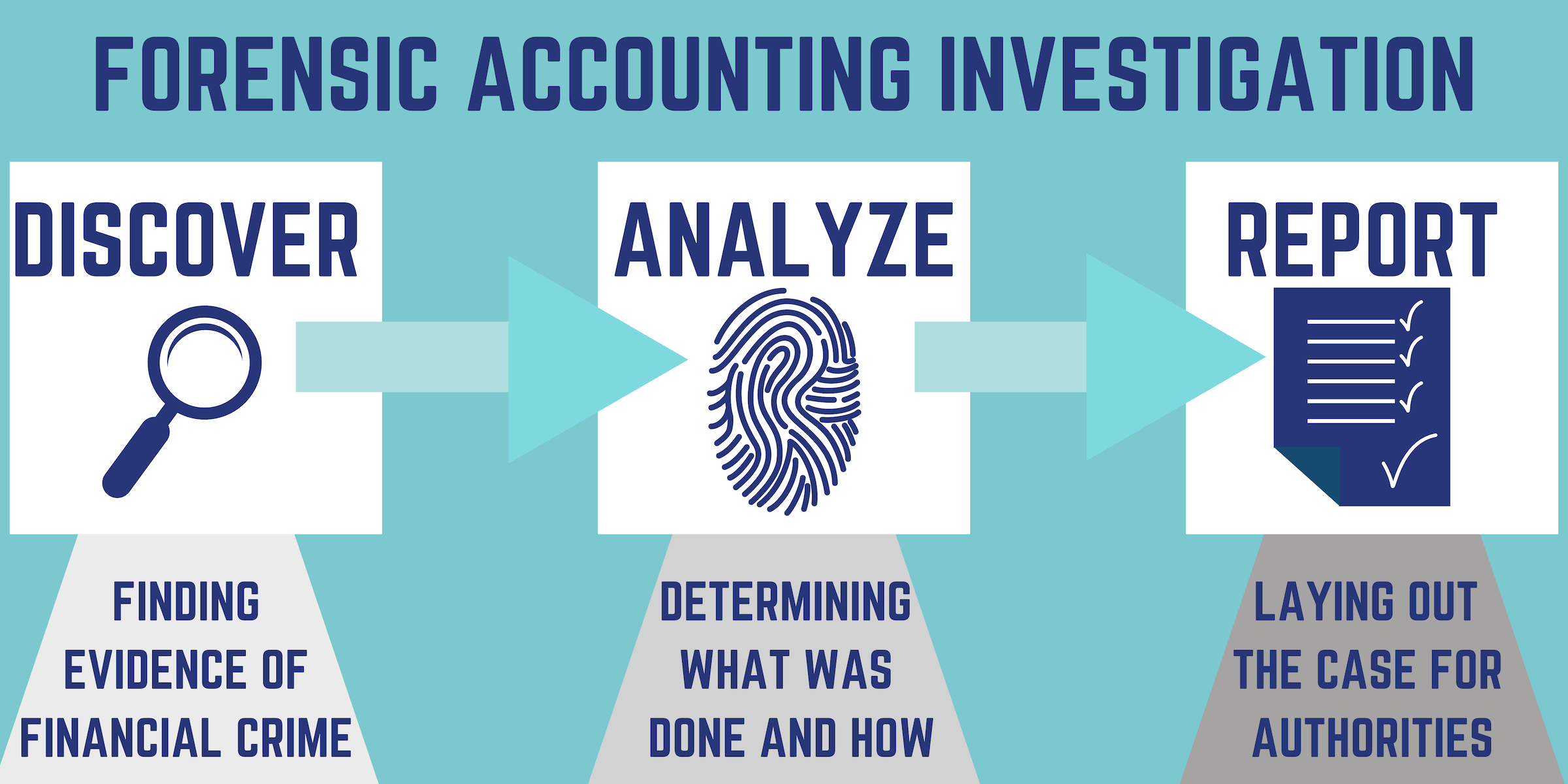 Forensic accounting investigation