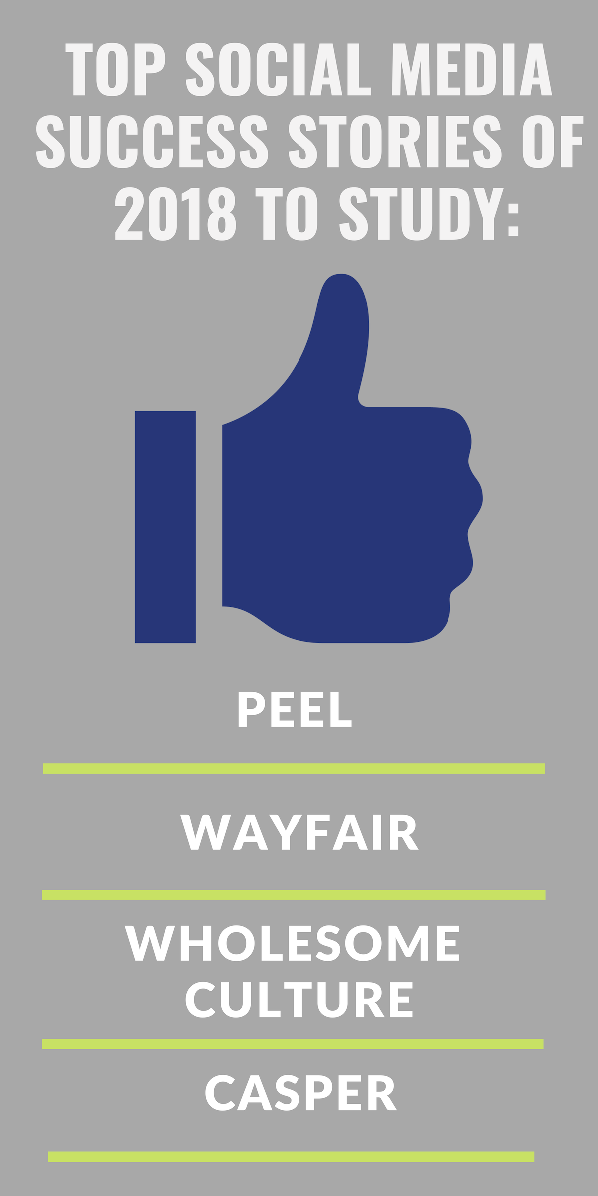 Top Social Media Success Stories of 2018 To Study: Peel, Wayfair, Wholesome Culture, Casper