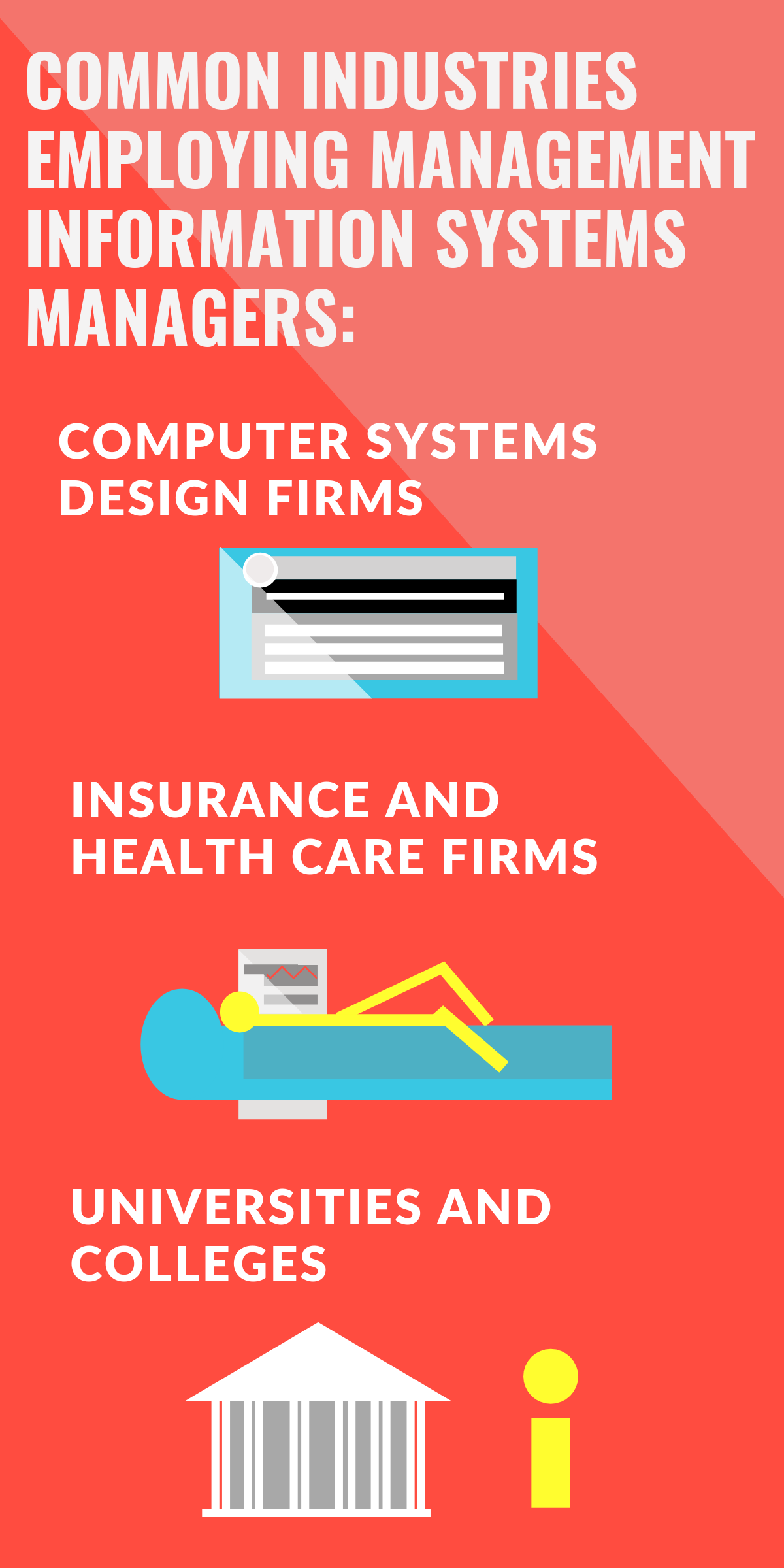 Common industries employing management information systems managers