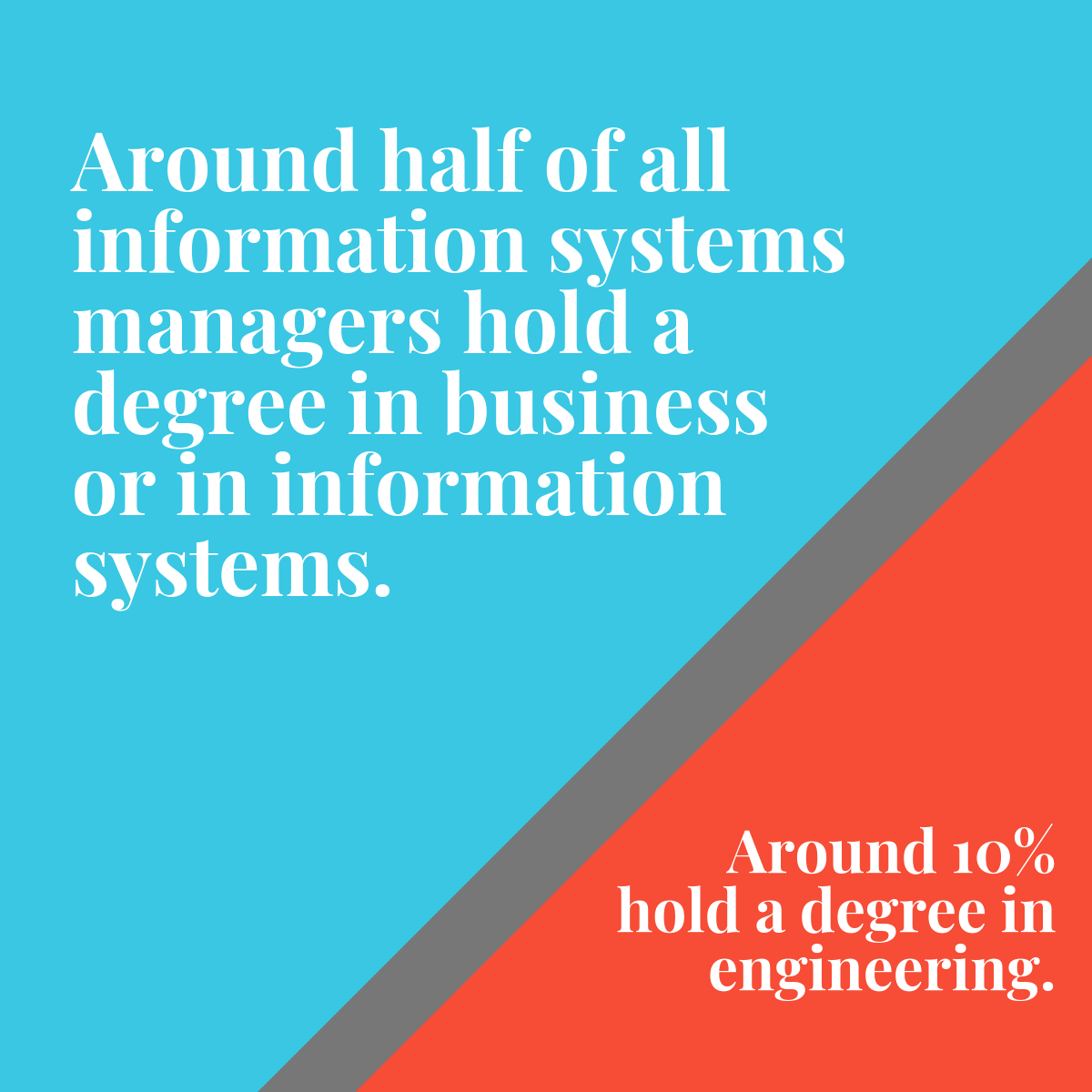 Around half of all information systems managers hold a degree in business or in information systems. Around 10% hold a degree in engineering.