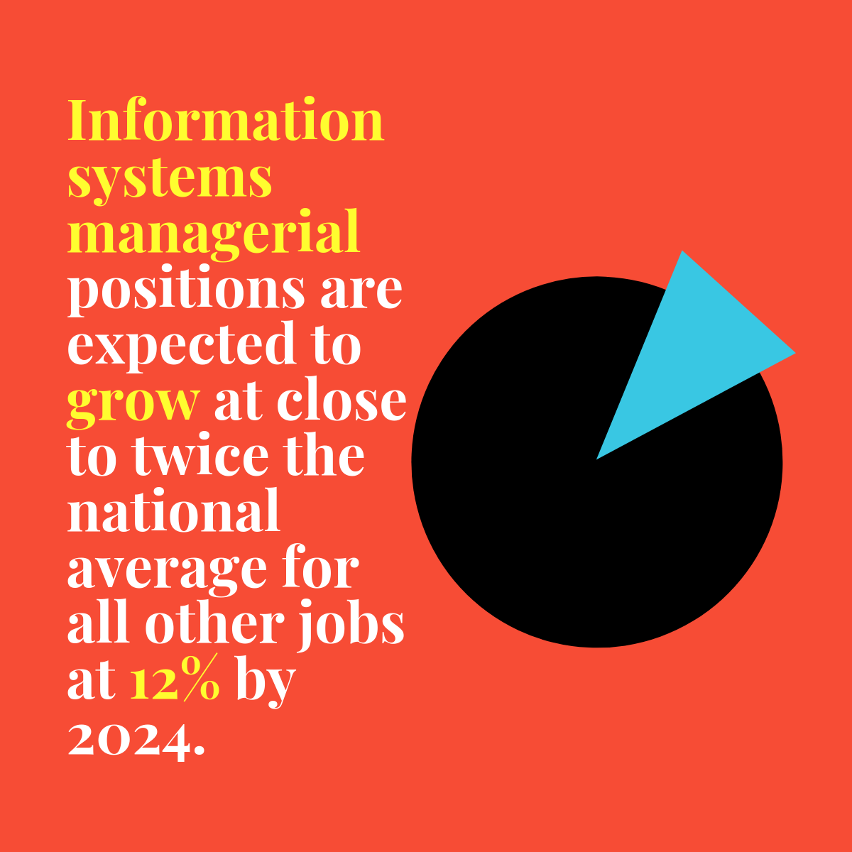 Information systems managerial positions are expected to grow at close to twice the national average for all other jobs at 12% by 2024.