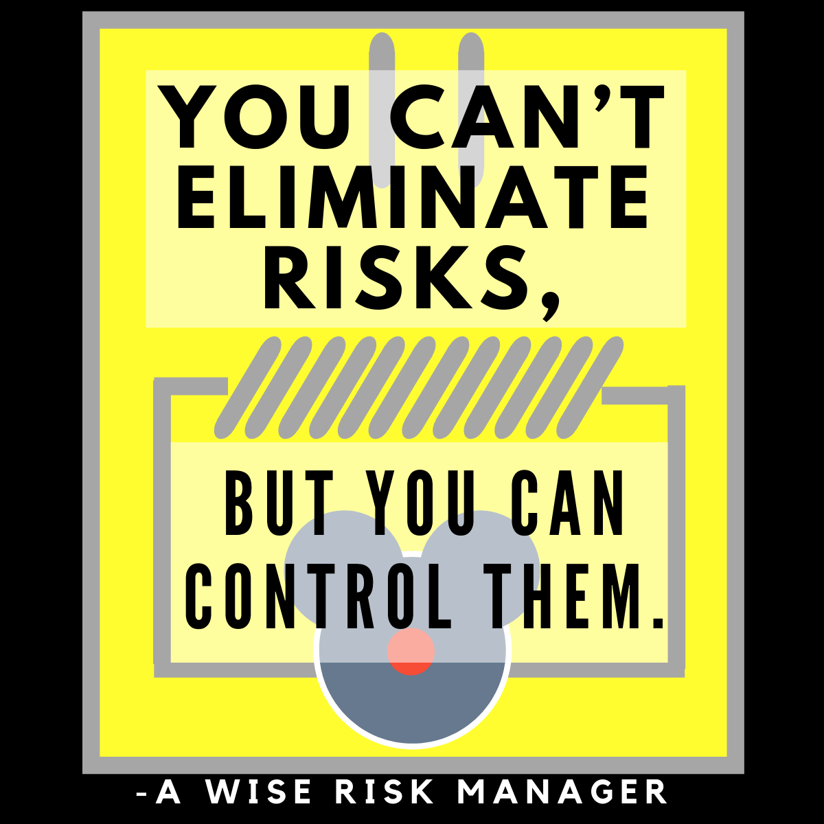 You can't eliminate risks, but you can control them.